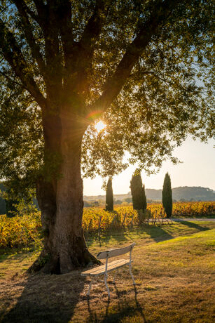 Chateau Toulouse-Lautrec